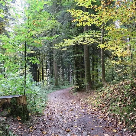 Nr 18, Golf- Und Ski-residenz, Oberstaufen-steibis, Allgaeu Oberstaufen
