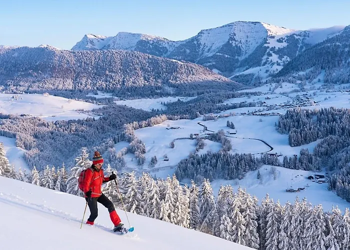 Nr 18, Golf- Und Ski-residenz, Oberstaufen-steibis, Allgaeu *